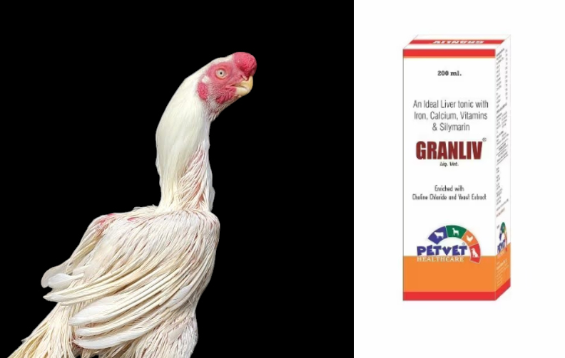 Benefits of Granliv Syrup for Poultry